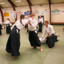 Which martial art involves the practices of defense against multiple attackers?
