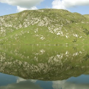 bg