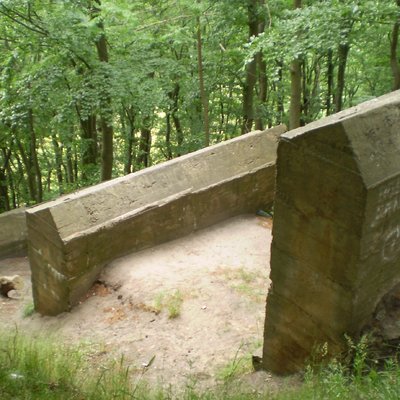 bg