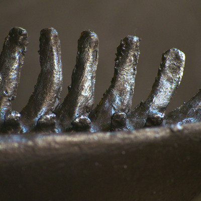 how many lumbar vertebrae are there in the human body? | globalquiz.org